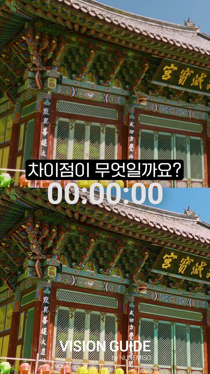 같은 시력, 다른 시야 [비전가이드]